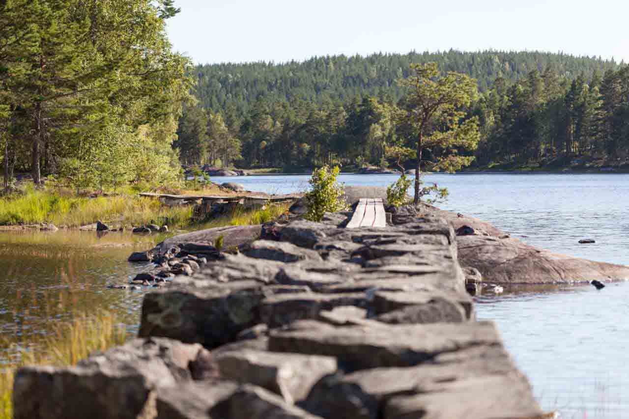 Glaskogen